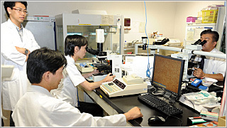 Hematology and Oncology