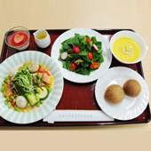Sample of special meal