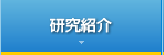 研究案内