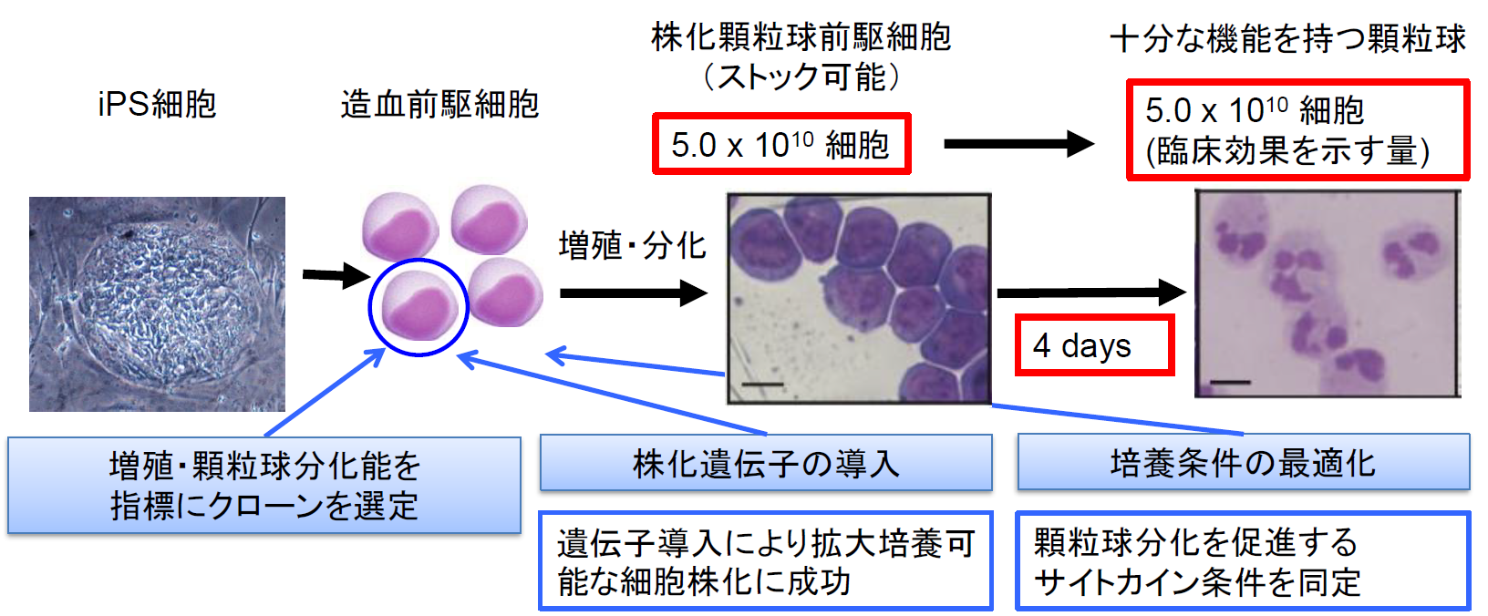 概念図