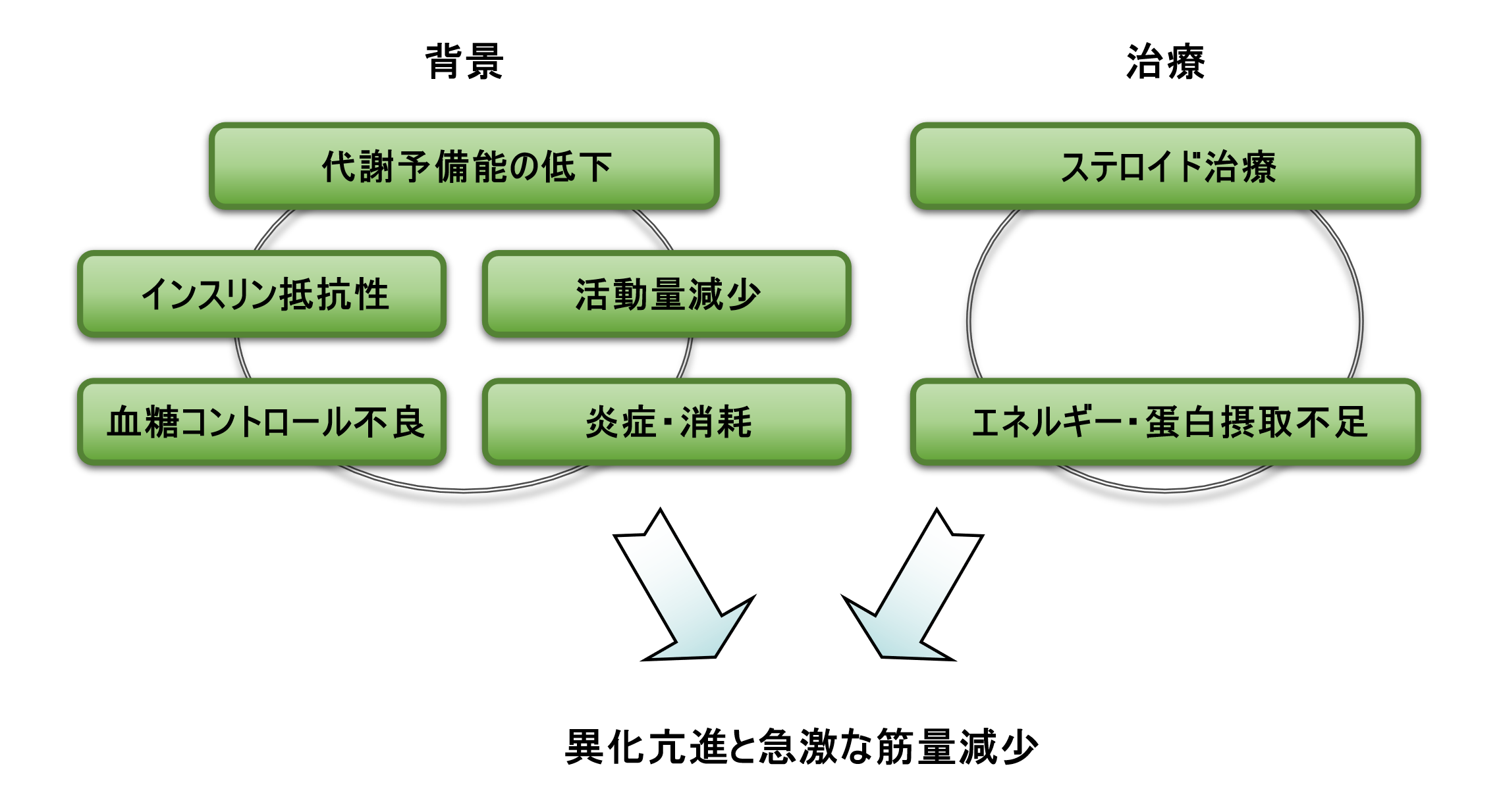 図：本症例において異化が亢進し、急速な筋量減少を来たした機序に関する仮説