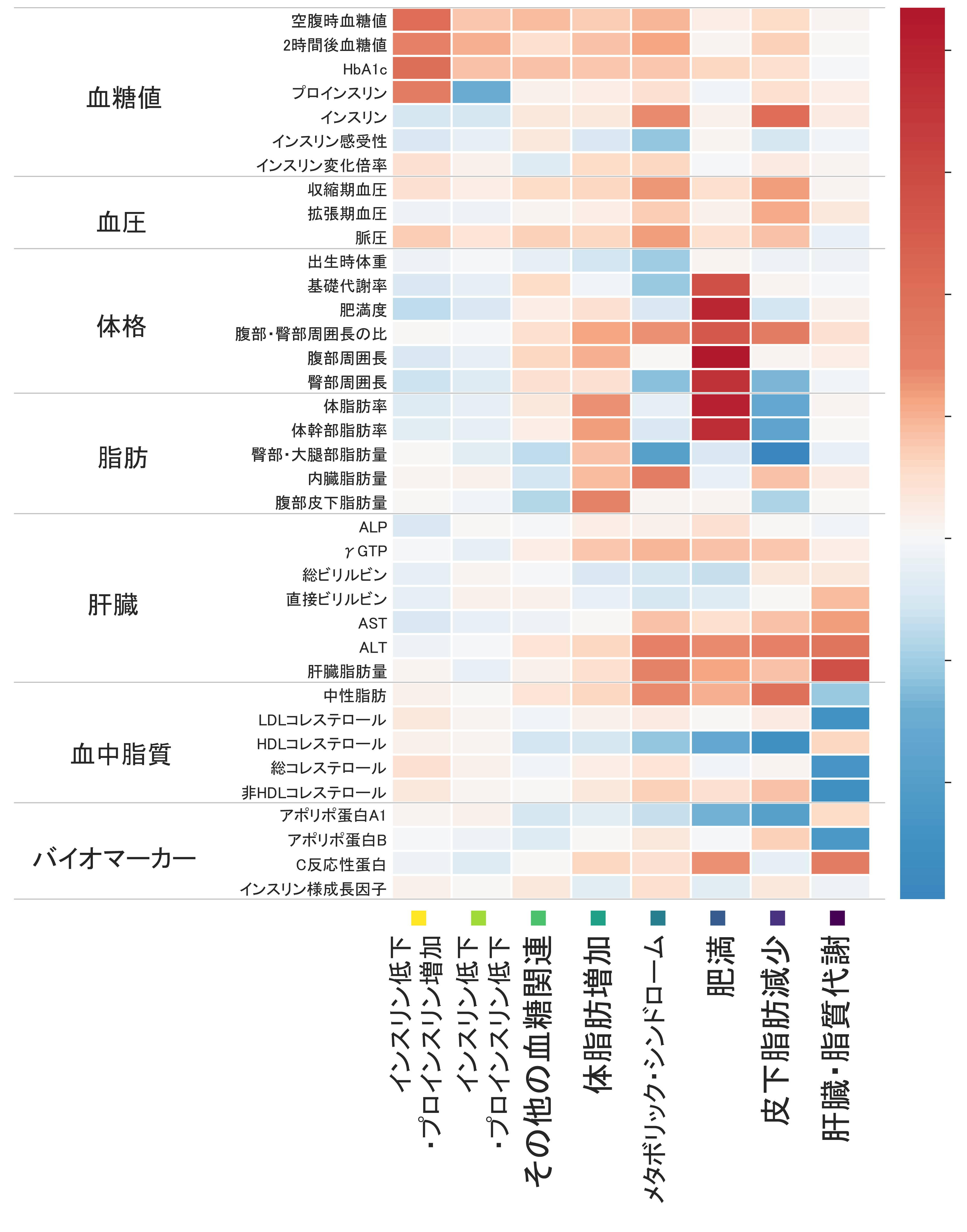 図1：2型糖尿病の8つの遺伝的要因のグループが、肥満やインスリンの分泌、血圧などの体の特徴に与える影響を表した図