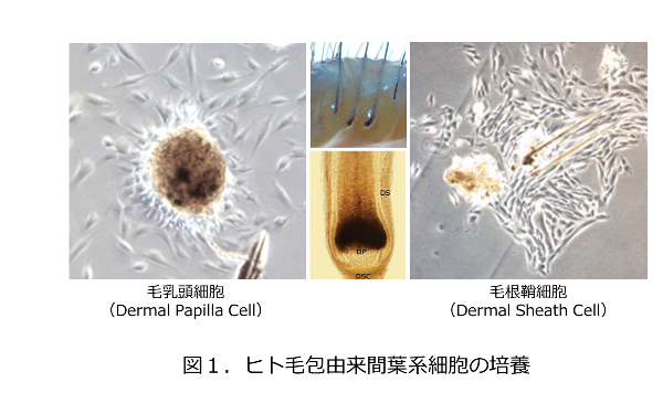 研究画像1