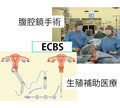 難治性不妊症に対する集学的治療ECBS