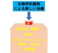 乾癬・生物学的製剤外来～乾癬に対する積極的な取り組み～