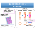 重症気管狭窄患者に対し再生気管軟骨を使用する治験を開始