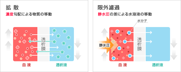 拡散と限外濾過（図）